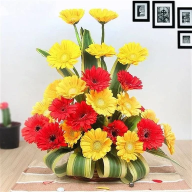 Gerberas