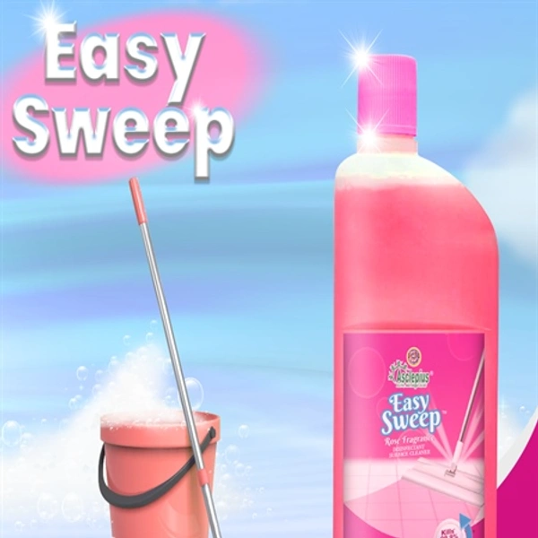 Easy Sweep (Floor Cleaner) - 500 Ml