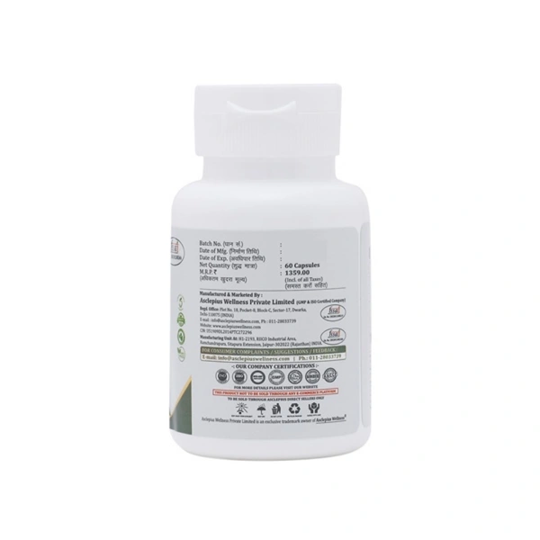 Green Tea Extract Capsule - 60 Tablets