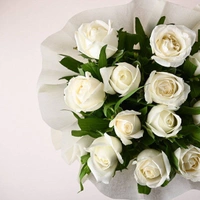 12 White Roses Bouquet