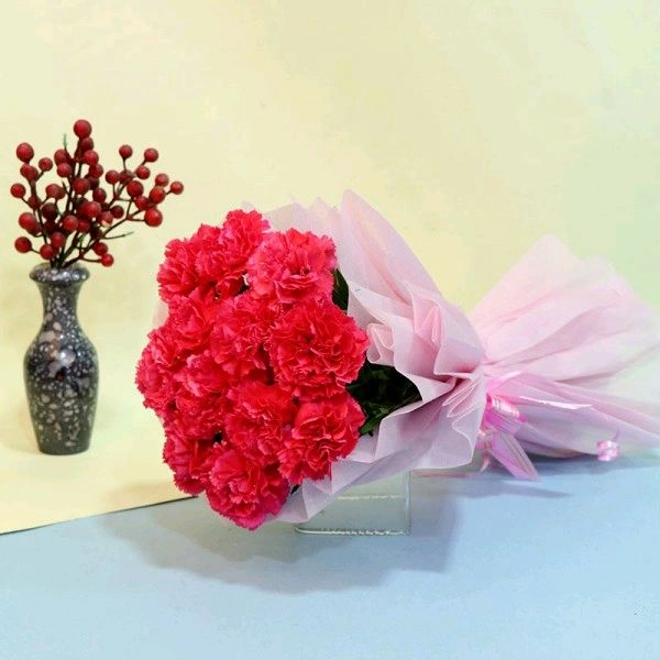 12 Pink Carnations Bouquet