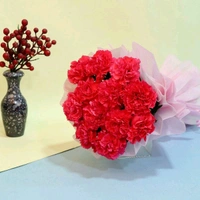 12 Pink Carnations Bouquet
