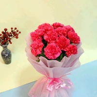 12 Pink Carnations Bouquet