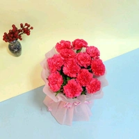 12 Pink Carnations Bouquet
