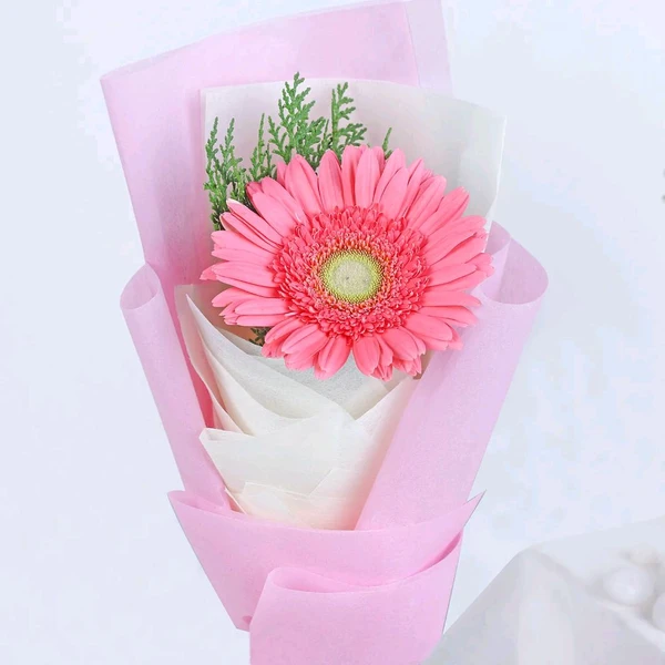 Single Pink Gerbera