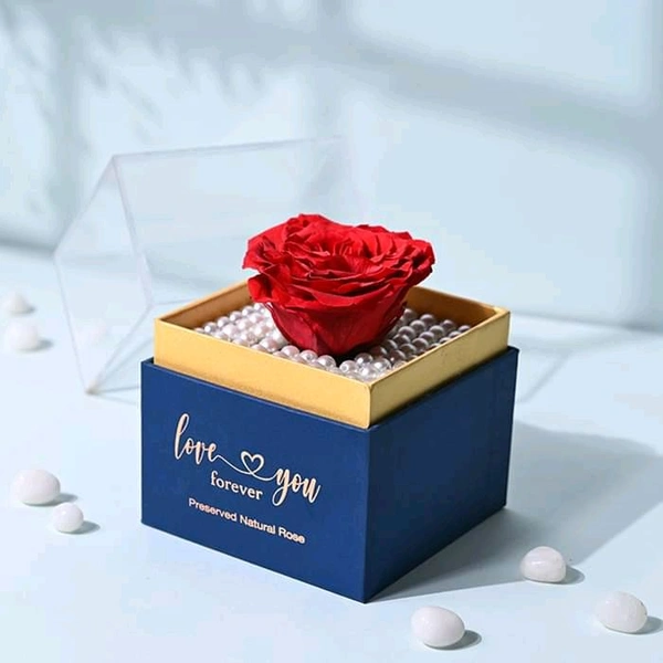 Single Red Rose | One-Year Natural Preservation
