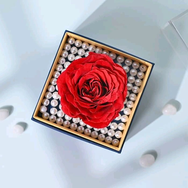 Single Red Rose | One-Year Natural Preservation