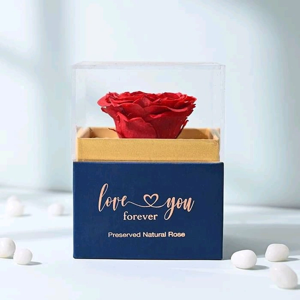 Single Red Rose | One-Year Natural Preservation