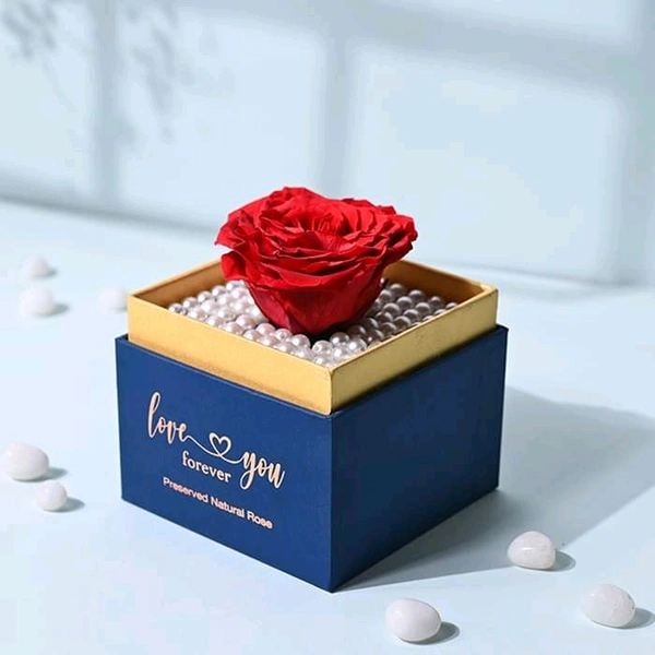 Single Red Rose | One-Year Natural Preservation
