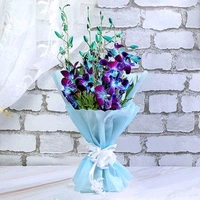 10 Blue Orchids With Black Forest Cake