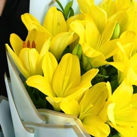 5 Yellow Lilies Bouquet