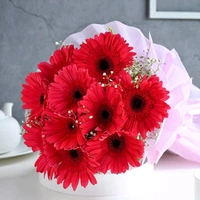 10 Red Gerberas Bouquet