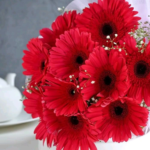 10 Red Gerberas Bouquet