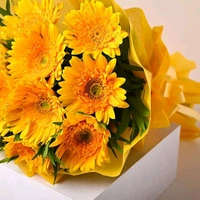 10 Yellow Gerberas Bouquet