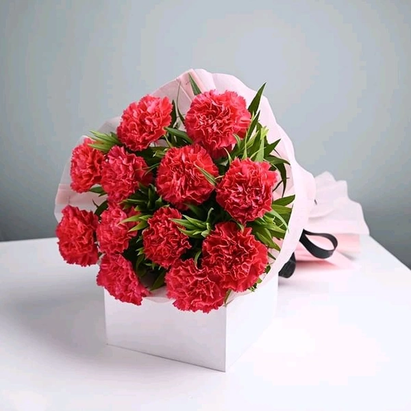 10 Red Carnations Bouquet