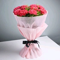10 Red Carnations Bouquet