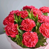 10 Red Carnations Bouquet