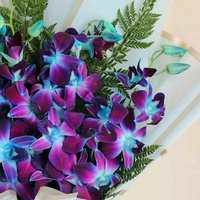 10 Blue Orchids Bouquet