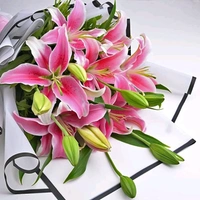 5 Pink Lilies Bouquet