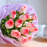 12 Pink Roses Bouquet