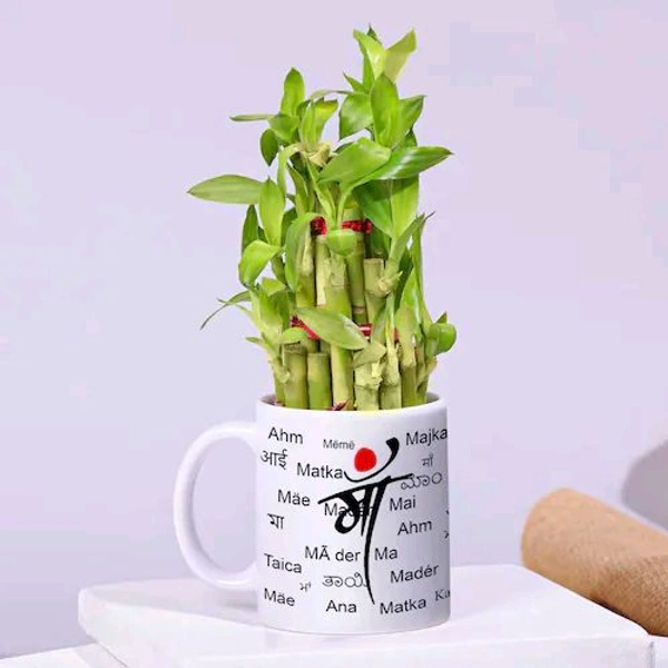 Special Maa Mug With Bamboo Plant