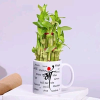 Special Maa Mug With Bamboo Plant
