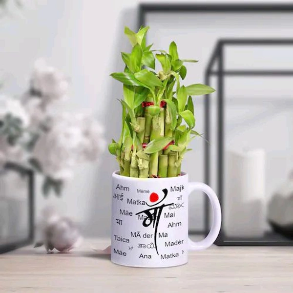 Special Maa Mug With Bamboo Plant
