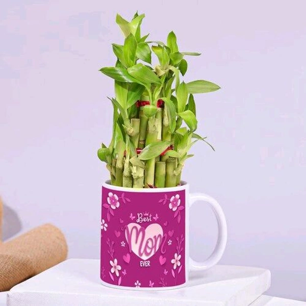 Best Mom Ever Mug And Bamboo Plant Combo