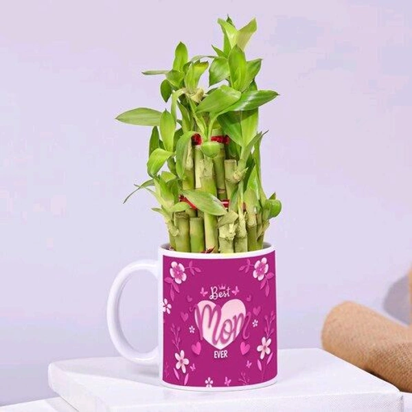 Best Mom Ever Mug And Bamboo Plant Combo