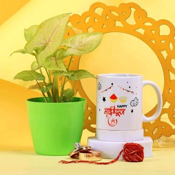 Synogonium Plant with Bhaidooj Mug Combo