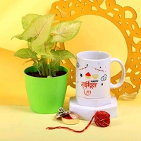 Synogonium Plant with Bhaidooj Mug Combo