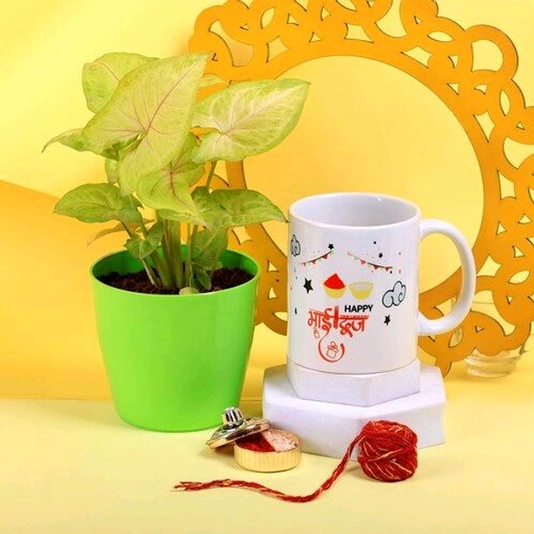 Synogonium Plant with Bhaidooj Mug Combo