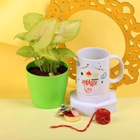 Synogonium Plant with Bhaidooj Mug Combo