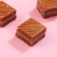 Biscoff & Cashew Mix Barfi - 250 Gm