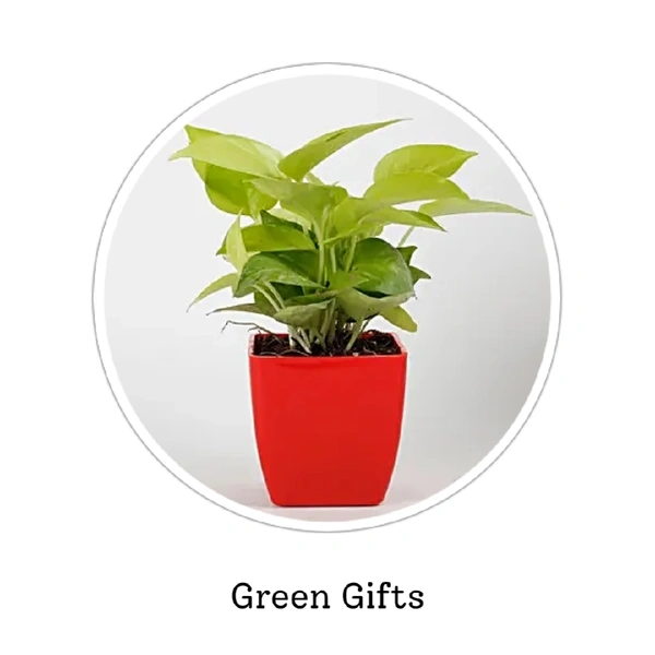 Green Gifts