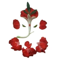 Gift N Treat - Logo