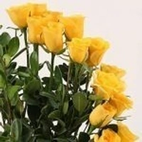 25 Yellow Roses Basket