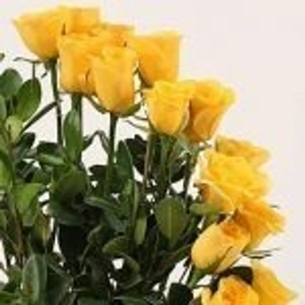 25 Yellow Roses Basket