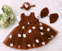 Cape Sleeves White Flower Work Iron Rust Dress - 6-9 Month