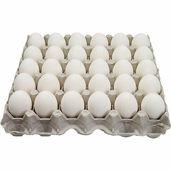 EGG Kireat 