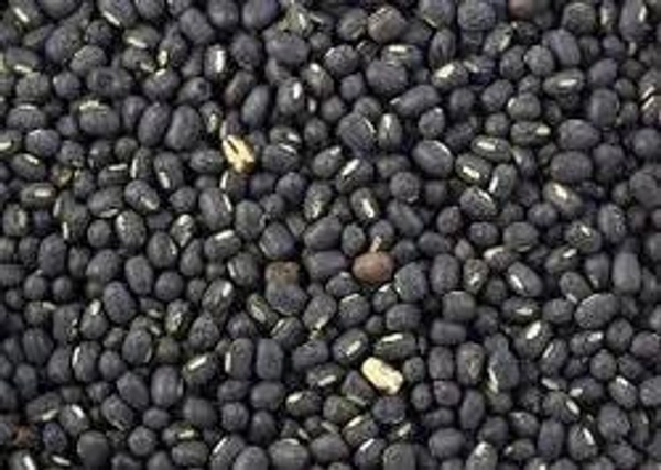 Urad Sabut Black Dal