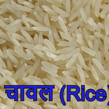Rice🍚