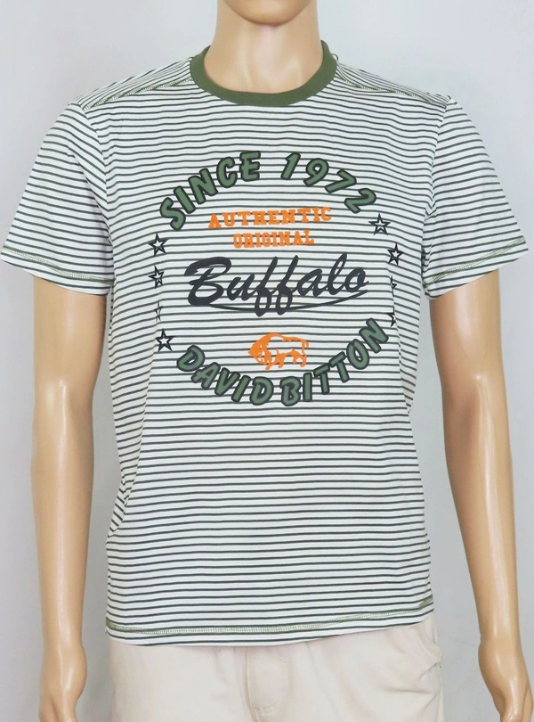 #M10148C1 BUFFALO DAVID BUTTON  BUFFALO STRIPED N PRINTED T SHIRT 8C1 - White/ Green Striped, M