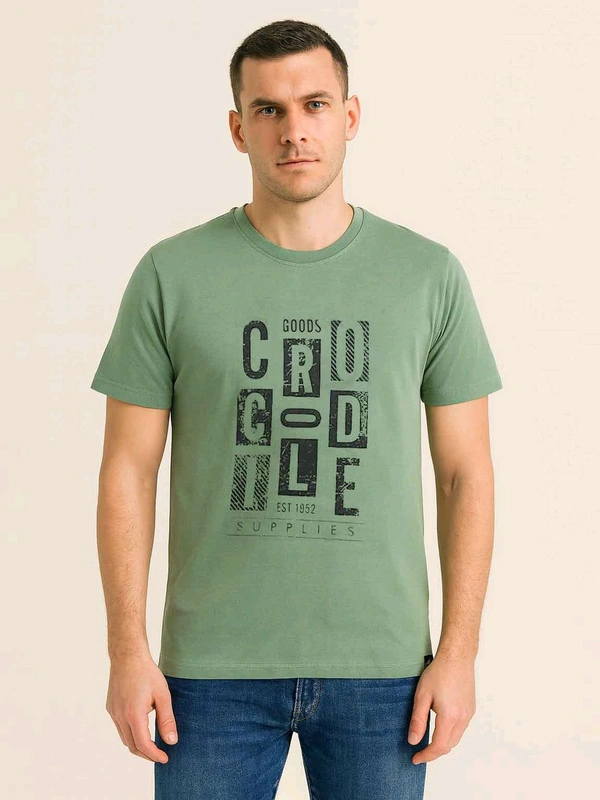 Mens Printed Green T-shirt  6B3                         - Mint Green, 2XL