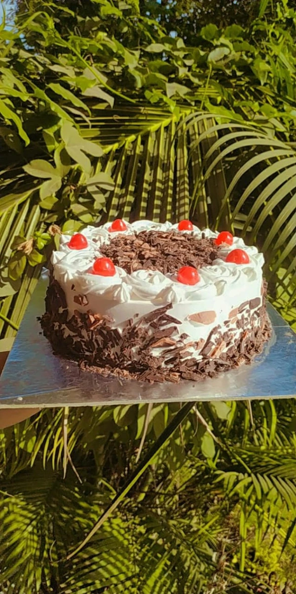 Black Forest Ice Cake (Half kg)