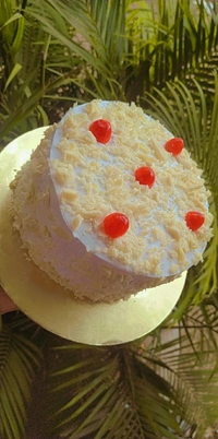 White Snow Ice Cake 🍰(Half kg) 500gm