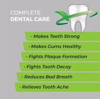 K P Namboodiri's Herbal Toothpaste - 100g