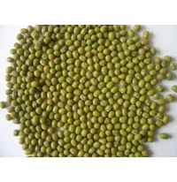 GREEN MOONG DAL ( Green Gram ) ചെറുപയർ     - 500g