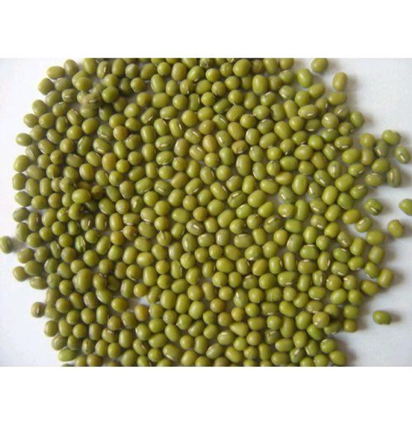 GREEN MOONG DAL ( Green Gram ) ചെറുപയർ     - 500g