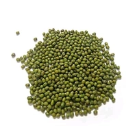 GREEN MOONG DAL ( Green Gram ) ചെറുപയർ     - 500g